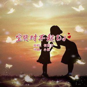 宝贝对不起DJ