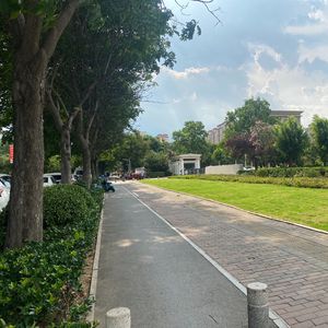 你爱我几天-王坤坤