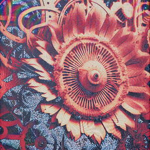 在爱的世界里崛起