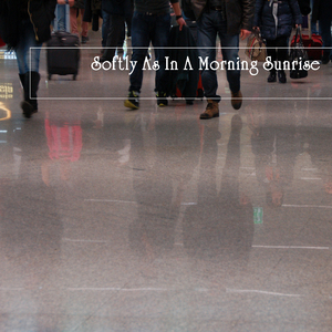 愛は花、君はその種子