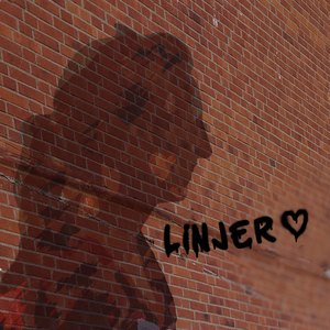 Linjer