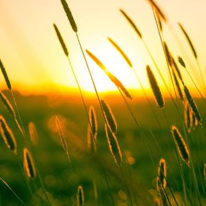 好不容易 (烟嗓版)