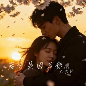 若不是因为你 (Cover 周华健)