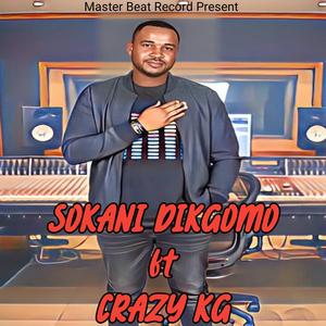 SOKANI DIKGOMO (feat. CRAZY KG)