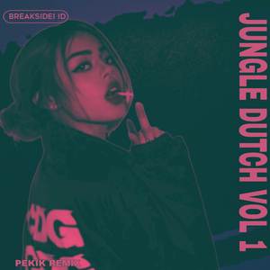 DJ JUNGLE DUTCH (VOL 1)