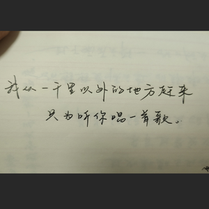 总有一天你会出现在我身边吧