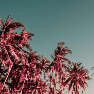 shameless - sped up + reverb