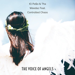 The Voice of Angels