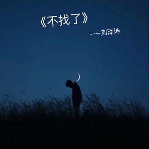 不找了