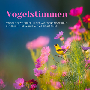 Gut Schlafen (Relax Musik)