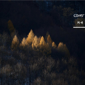 遇见 cover