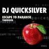 DJ Quicksilver - Escape to Paradise (Video Mix)
