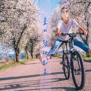 또 다시 벚꽃 흩날려온다