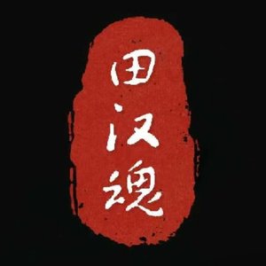 田汉魂