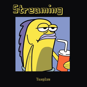 Streaming