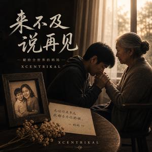 来不及说再见 (Chinese Version)