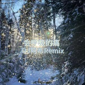 会呼吸的痛 （DJ阿布Remix)