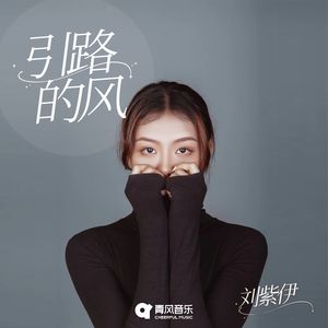 引路的风