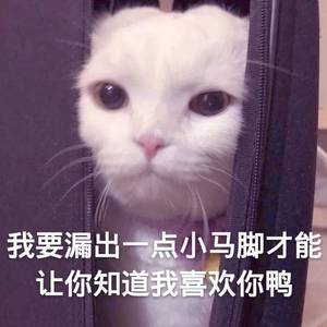 我多喜欢你 你会知道