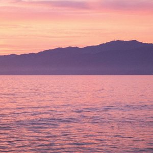 谁的生活不是鸡零狗碎