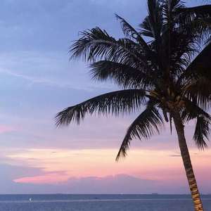 【FREE】“DREAM”