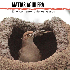 Salvatierra (En Vivo)