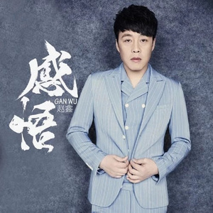 感悟 (DJ何鹏版伴奏)