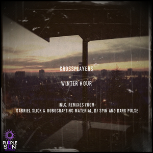 Winter Hour (Dark Pulse Remix)