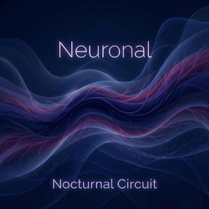 Nocturnal Circuit