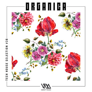 Tek Ya Body (Original Mix)