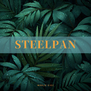 Steelpan