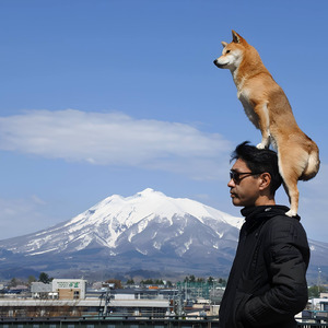 エンジェルナンバーコレクター (male vocal ver.)