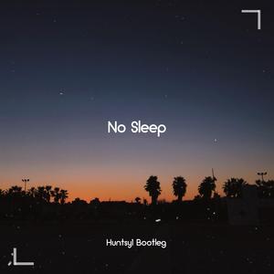 No Sleep (Huntsy1 Bootleg)（翻自 Martin Garrix）