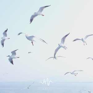 心想成真 (舒缓压力八音盒)