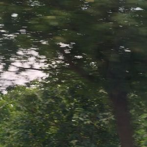 梧桐道（prod.DIVINE MUSIC）