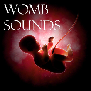 Womb Sounds (Part 01)