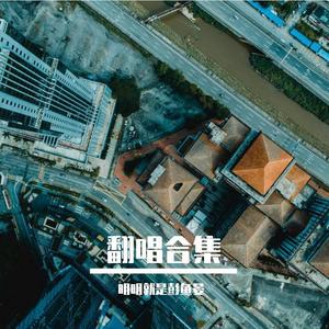 林宥嘉-成全（翻自 林宥嘉）（明明就是彭鱼晏 remix）