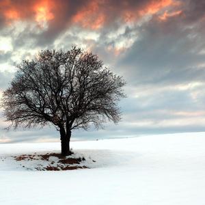 风雨里你我回忆起难忘的过去