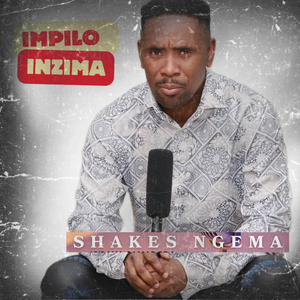 IMPILO INZIMA