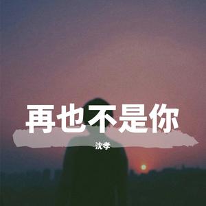 再也不是你（翻自 杨小壮）