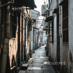 哎呀你别装不晓得