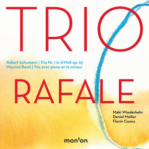 Trio en la mineur: I. Modéré