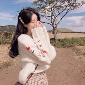 酸酸甜甜就是我