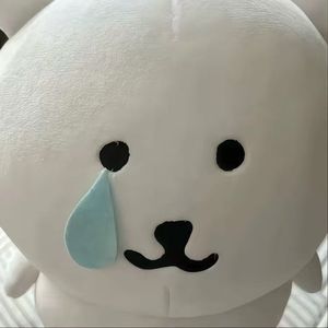 彗星拖着梦的尾巴划过