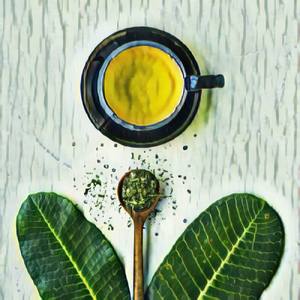 Forgot Your Broken Dreams