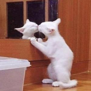 AZERI（3jins remix）