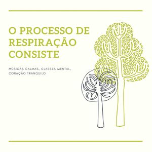 Práticas da Nova Era