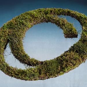 ... (OST Carpetwood)