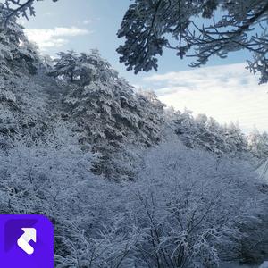 陪你到最后