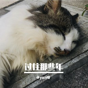 再见昨天